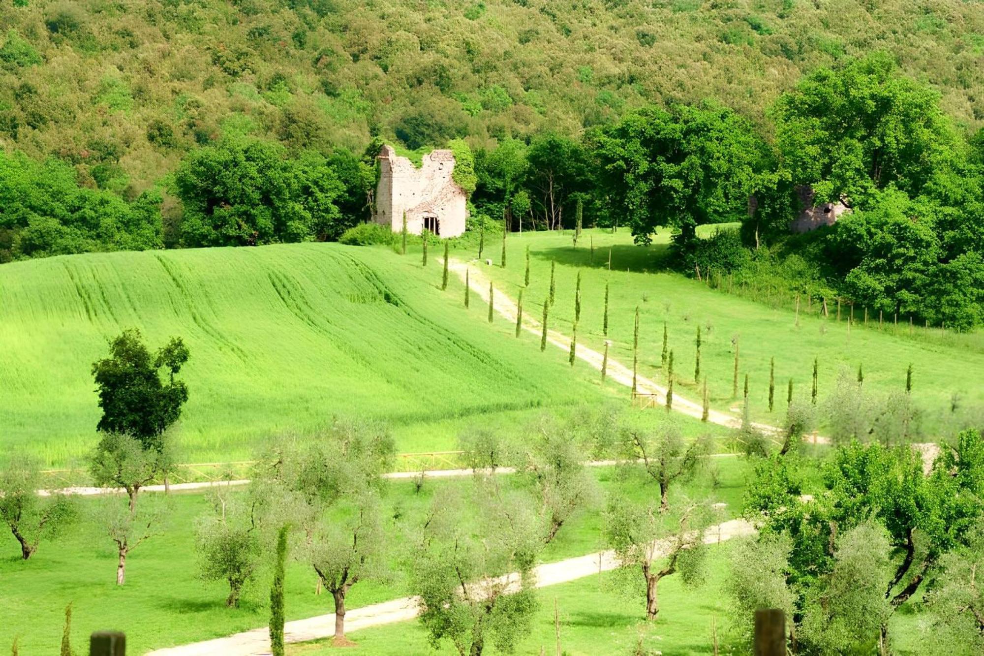 Tenuta Del Gallo Amelia Ngoại thất bức ảnh