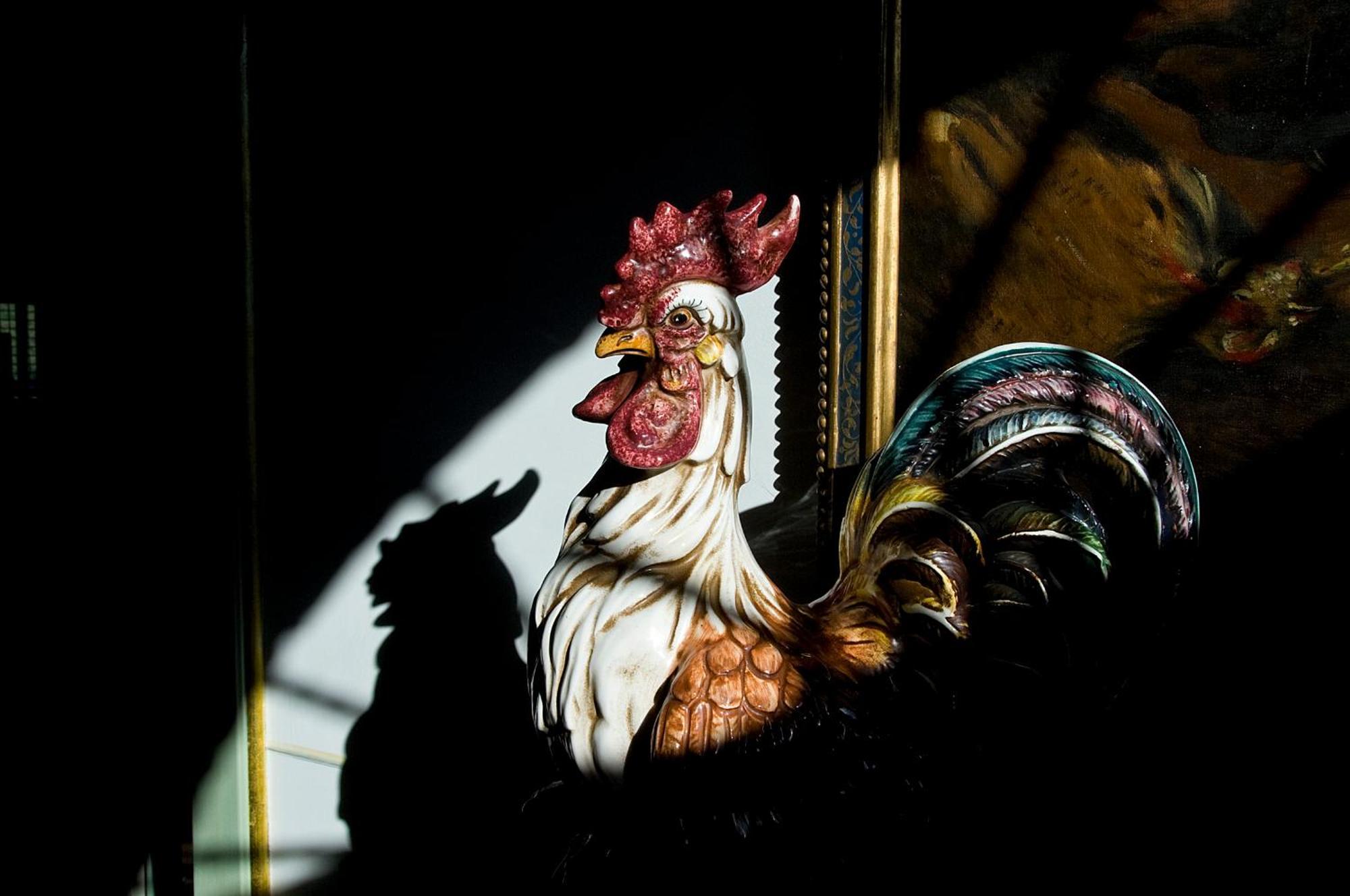 Tenuta Del Gallo Amelia Ngoại thất bức ảnh